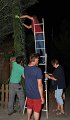 Binden am Donnerstag 098
